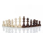 tournament chess pieces